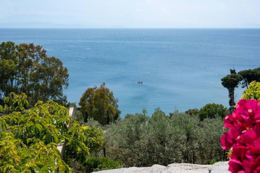Seaside House With View Over Pagasitikos Άφησσος Εξωτερικό φωτογραφία