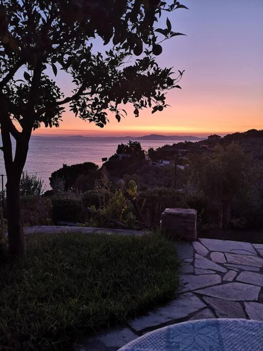 Seaside House With View Over Pagasitikos Άφησσος Εξωτερικό φωτογραφία